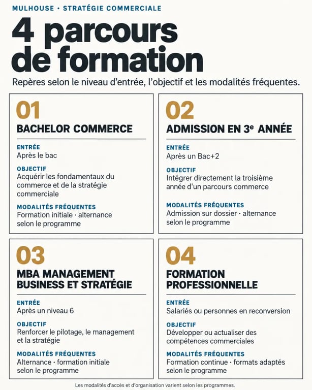 Formation en stratégie commerciale à Mulhouse : parcours Bachelor, MBA et formation professionnelle